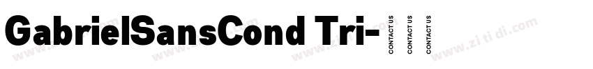GabrielSansCond Tri字体转换
